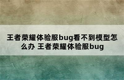 王者荣耀体验服bug看不到模型怎么办 王者荣耀体验服bug